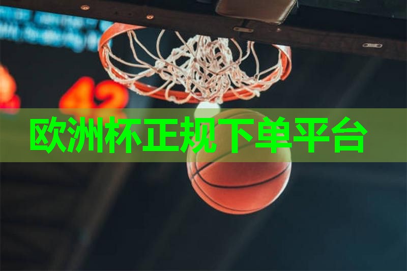 2024欧洲杯网站：篮球投篮捡球器材