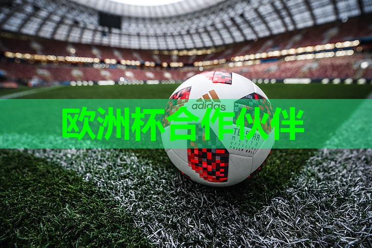 ⚽️2024欧洲杯官网⚽️：室内美背健身器材