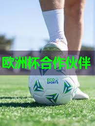 ⚽️2024欧洲杯官网⚽️：室内健身器材用哪些