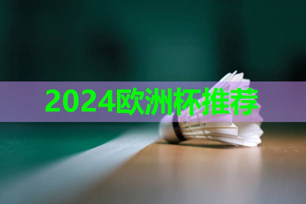 2024欧洲杯公司：社区健身器材椭圆机