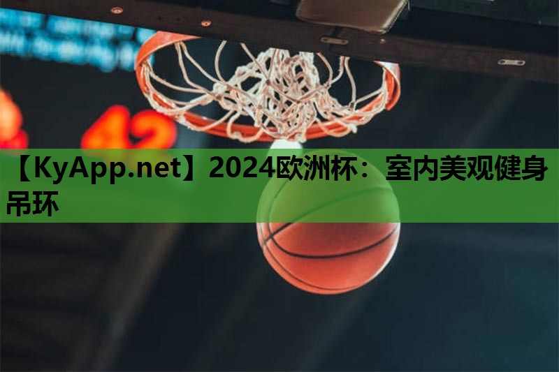 2024欧洲杯：室内美观健身吊环