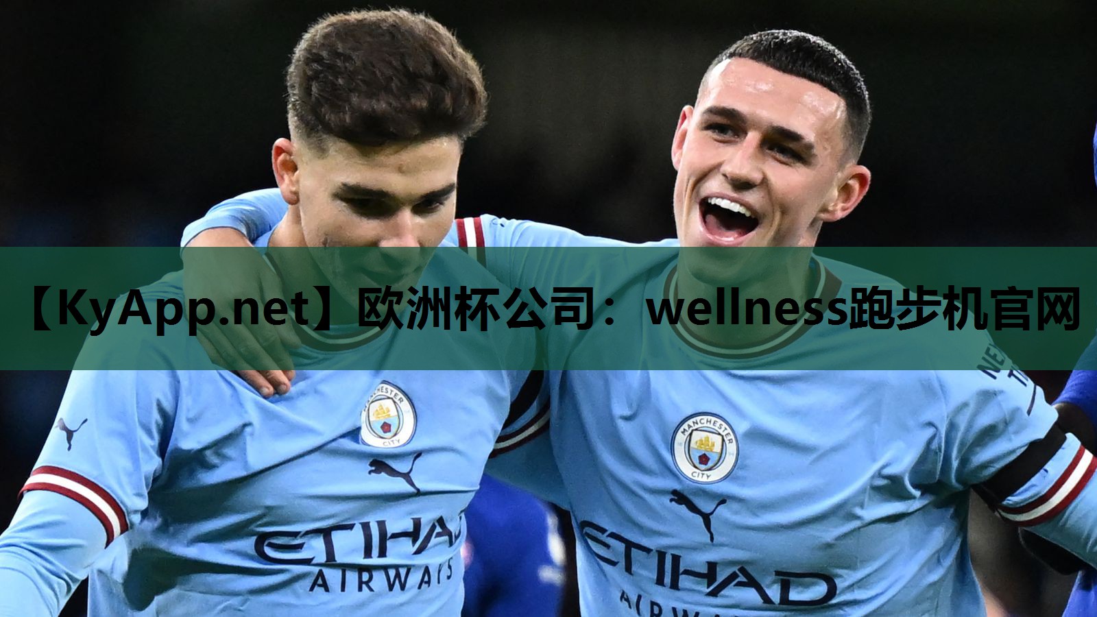 欧洲杯公司：wellness跑步机官网