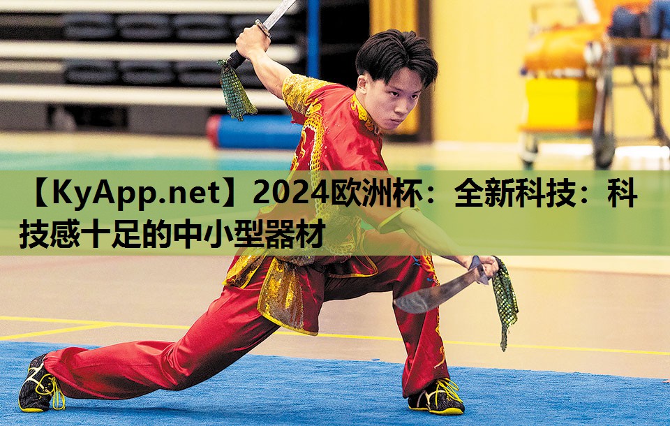 2024欧洲杯：全新科技：科技感十足的中小型器材