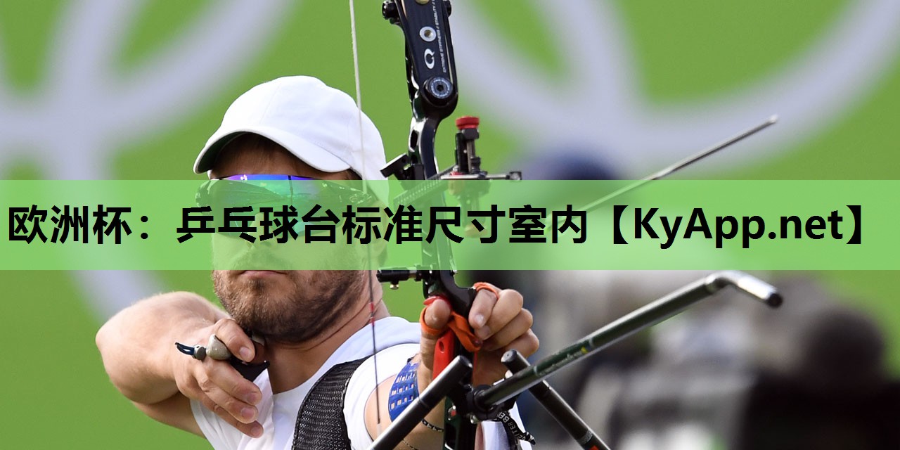 乒乓球台标准尺寸室内 乒乓球台标准尺寸室内