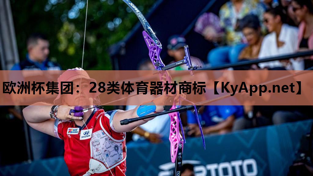 28类体育器材商标